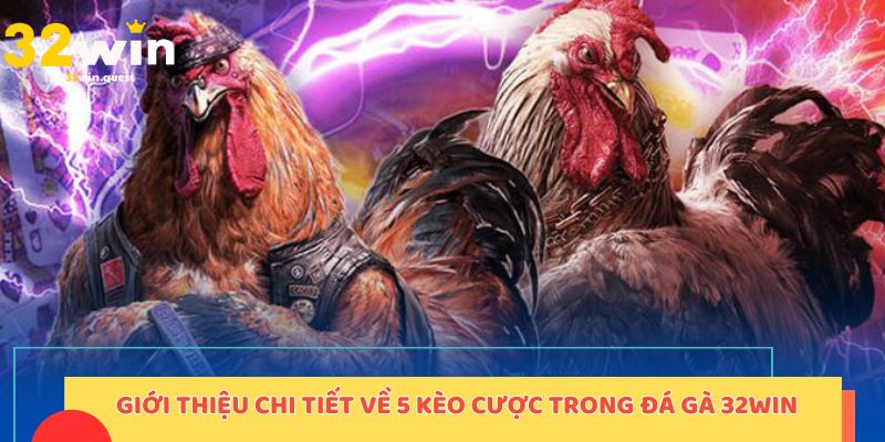 Giới thiệu chi tiết về 5 kèo cược trong đá gà 32WIN