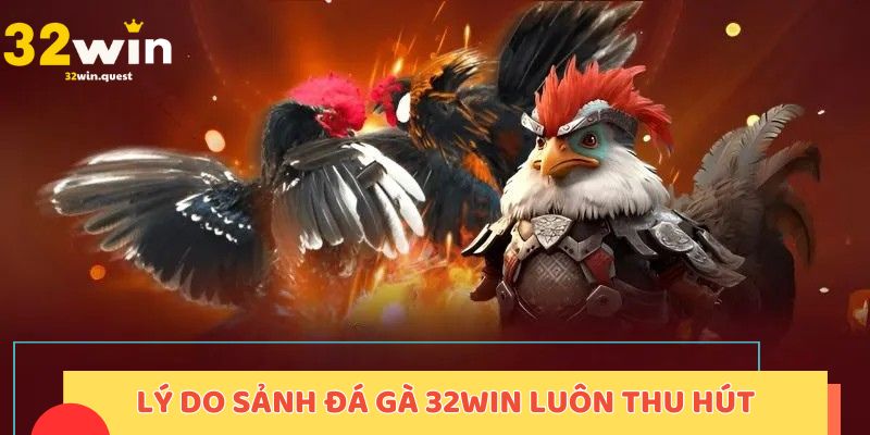 Lý do mà sảnh đá gà 32WIN luôn thu hút đông đảo hội viên