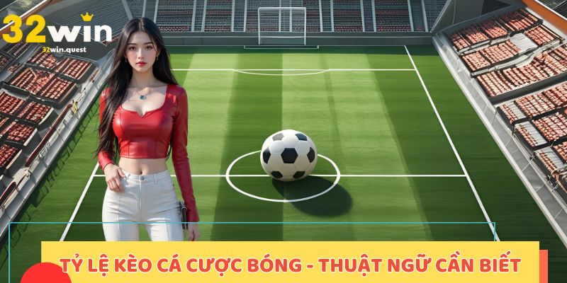 Tỷ lệ kèo cá cược bóng - Thuật ngữ cần biết